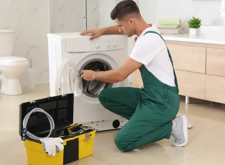 tecnico assistenza electrolux a Linate